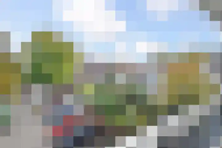 Binnenkade 31 Gouda thumbnail 20