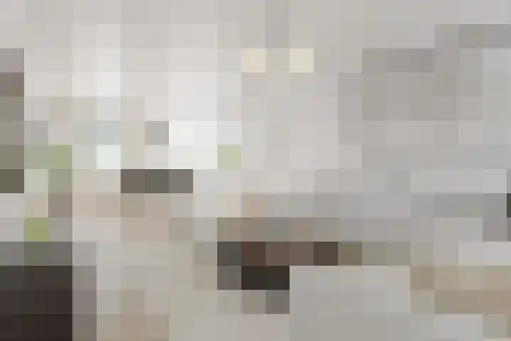Binnenkade 31 Gouda thumbnail 4