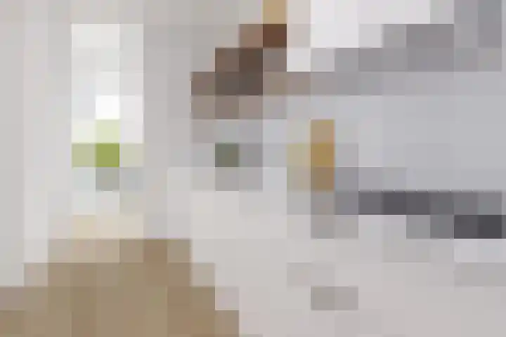Binnenkade 31 Gouda thumbnail 8
