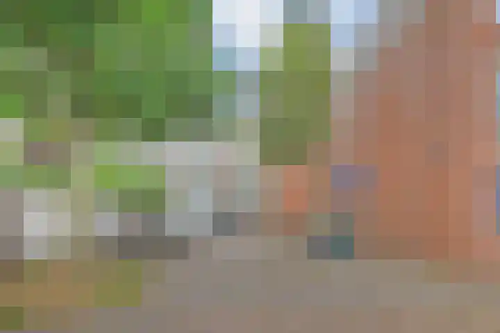 Binnenkade 38 Gouda thumbnail 19