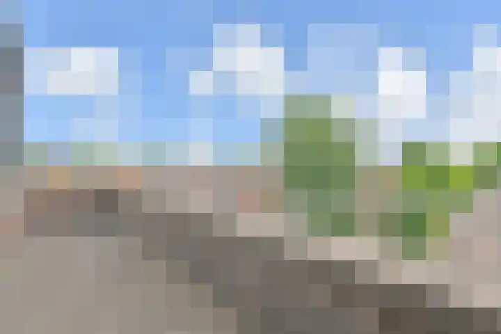 Binnenkade 38 Gouda thumbnail 6