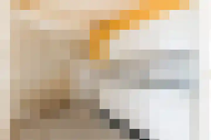 Binnenkade 38 Gouda thumbnail 7