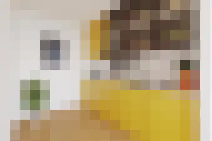 Binnenkade 38 Gouda thumbnail 8