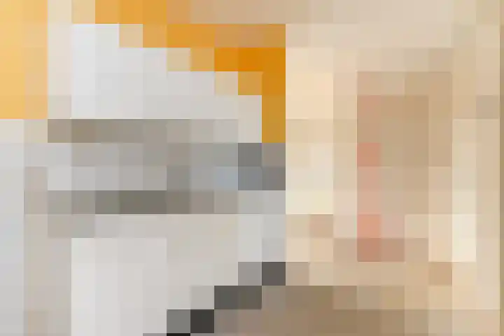 Binnenkade 38 Gouda thumbnail 9