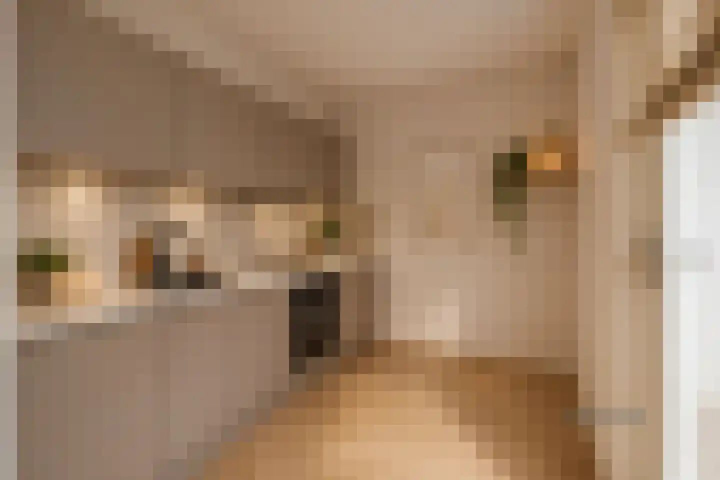 Binnenkade 55 Gouda thumbnail 9