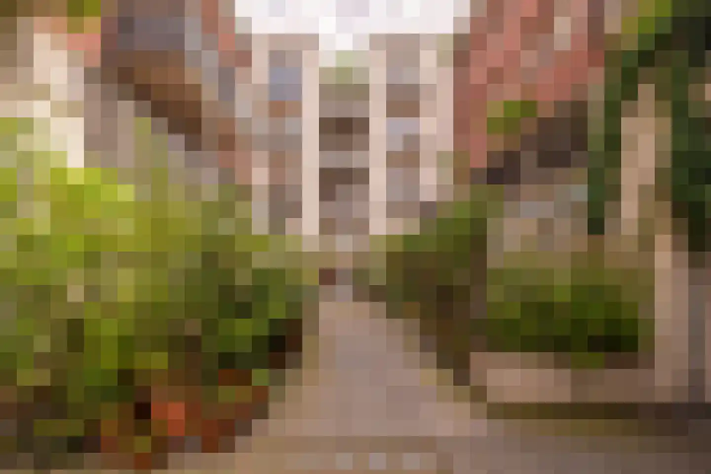 Binnenkadijk 148 Amsterdam thumbnail 18