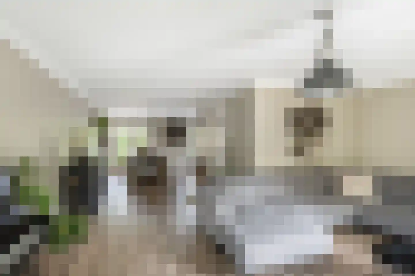 Binnenkamer 2 Tholen thumbnail 14