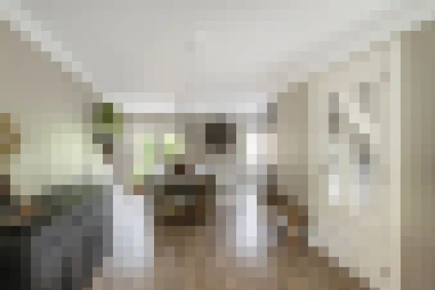 Binnenkamer 2 Tholen thumbnail 15