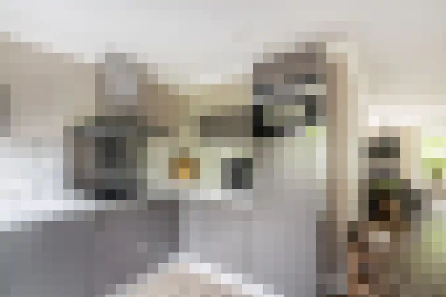 Binnenkamer 2 Tholen thumbnail 16