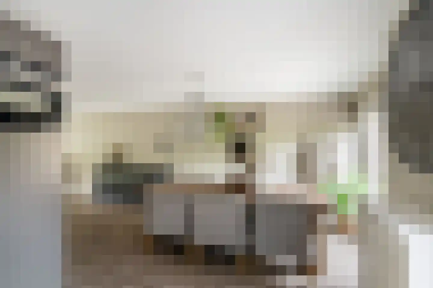 Binnenkamer 2 Tholen thumbnail 17