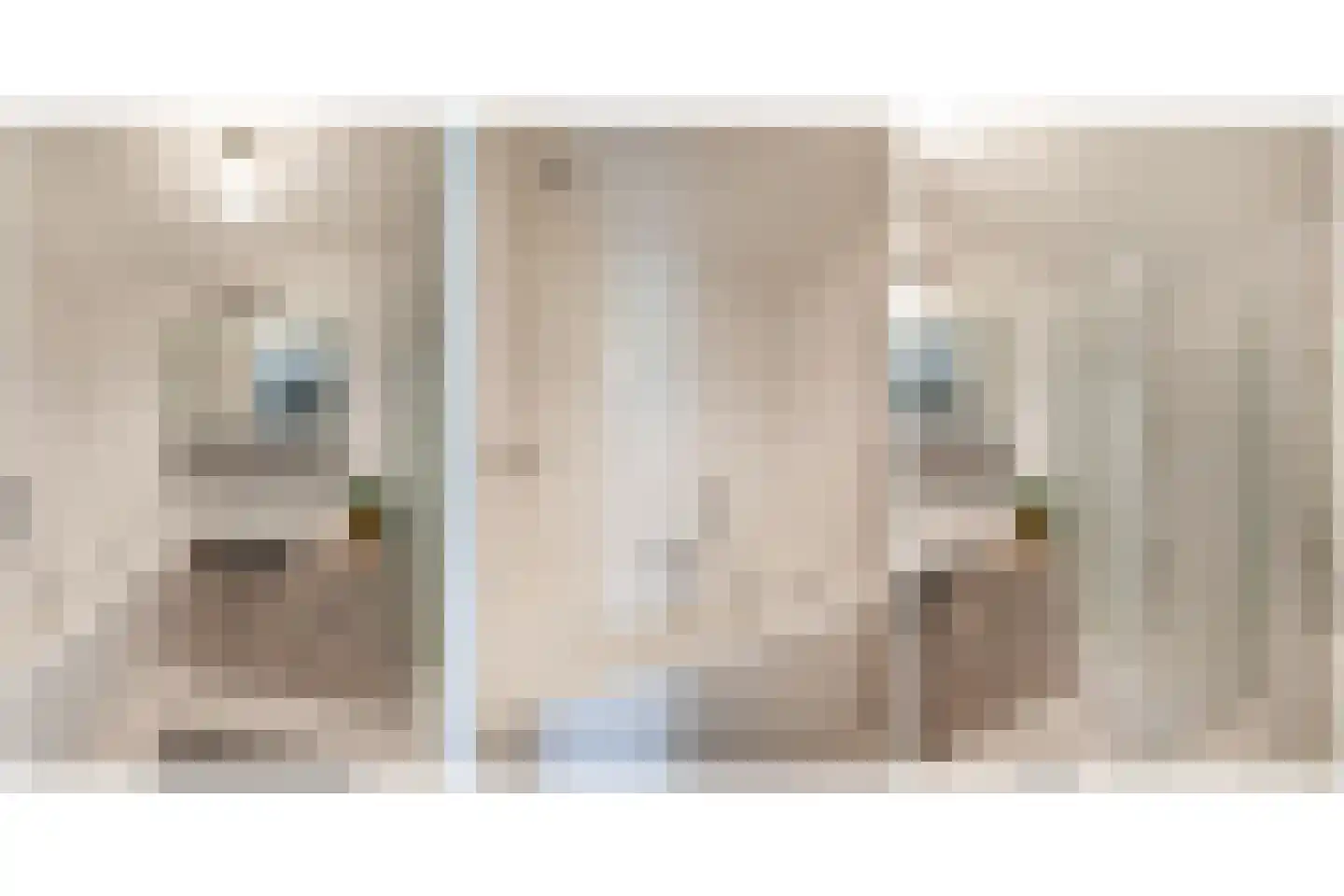 Binnenkamer 2 Tholen thumbnail 27