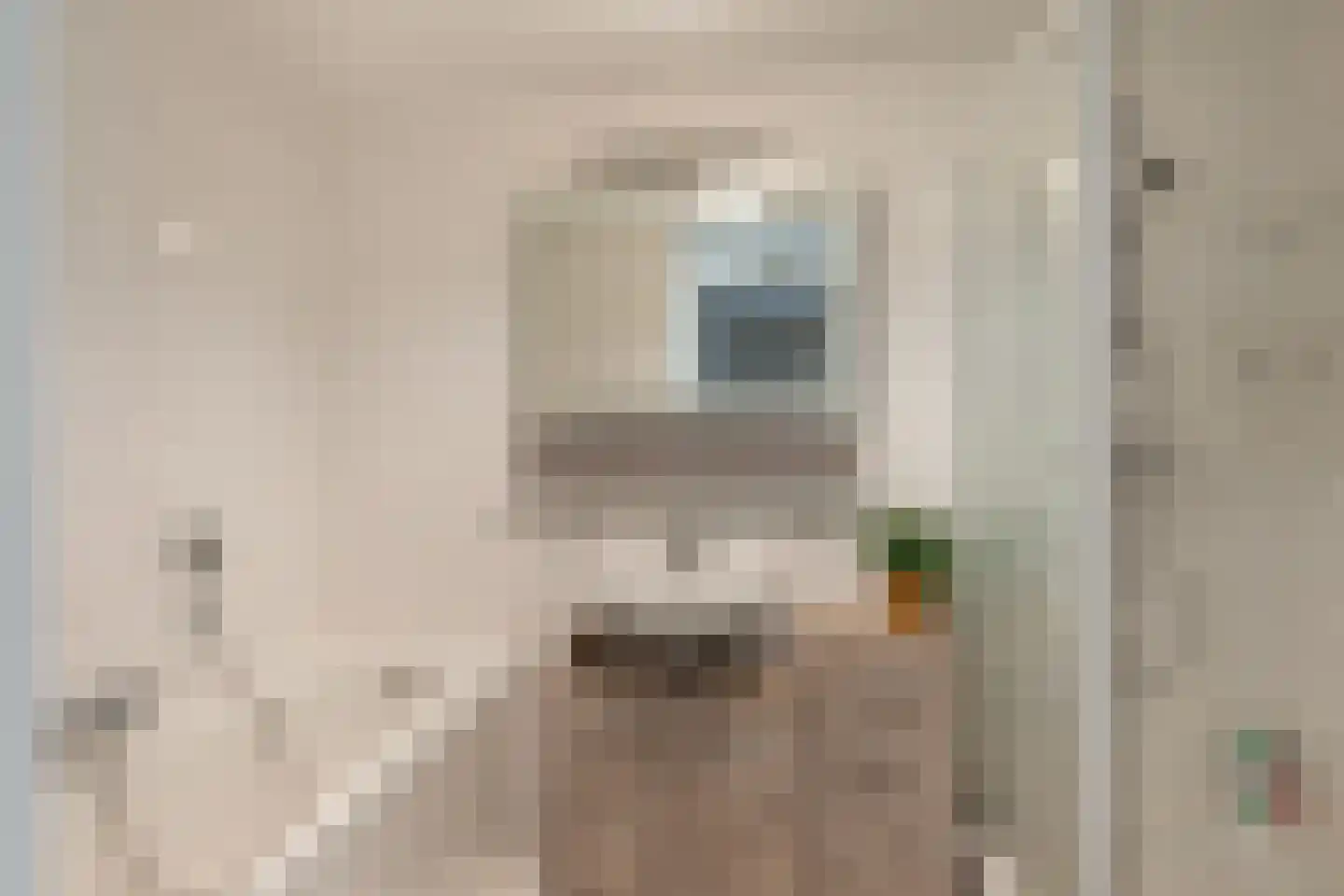 Binnenkamer 2 Tholen thumbnail 28
