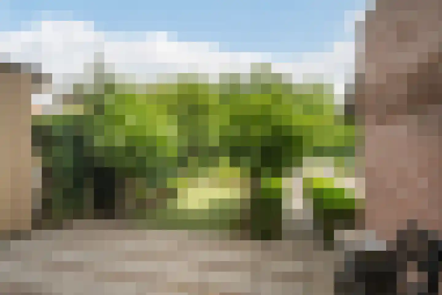 Binnenkamer 2 Tholen thumbnail 35