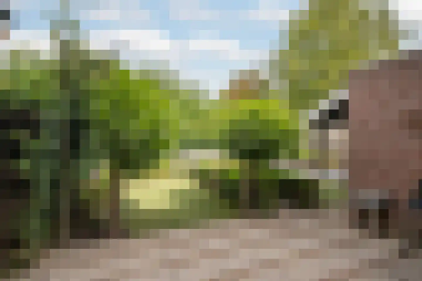 Binnenkamer 2 Tholen thumbnail 36