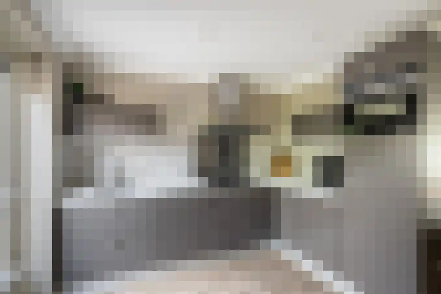 Binnenkamer 2 Tholen thumbnail 4