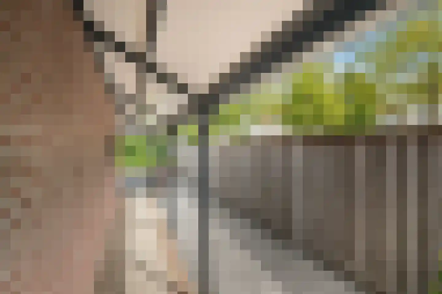 Binnenkamer 2 Tholen thumbnail 40