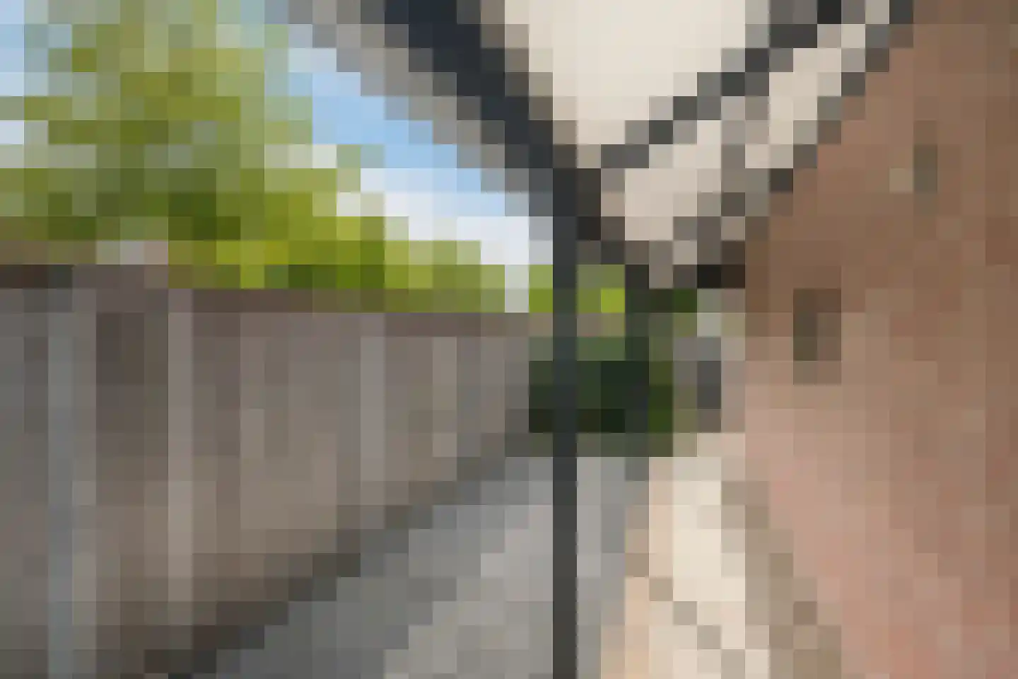 Binnenkamer 2 Tholen thumbnail 41