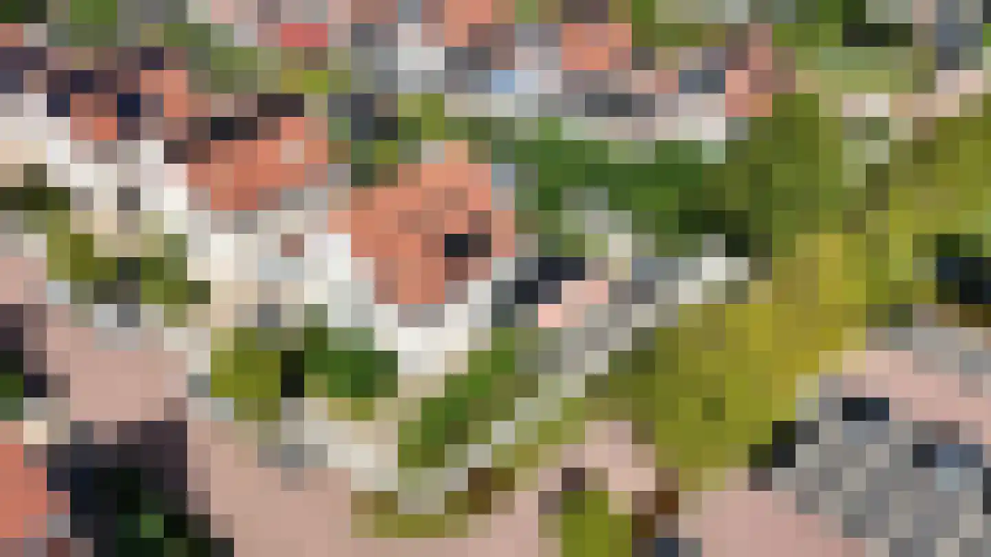 Binnenkamer 2 Tholen thumbnail 44