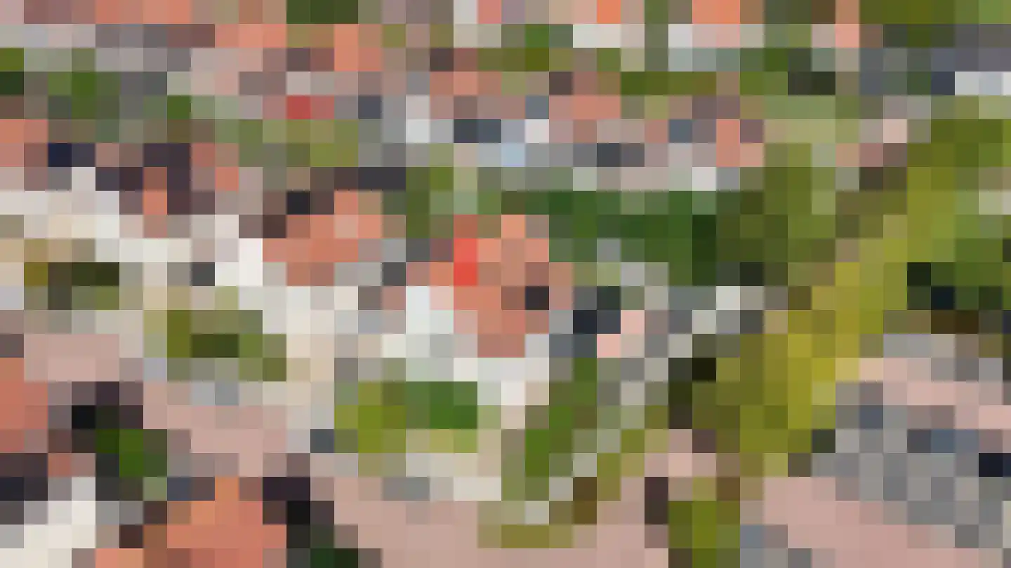 Binnenkamer 2 Tholen thumbnail 6