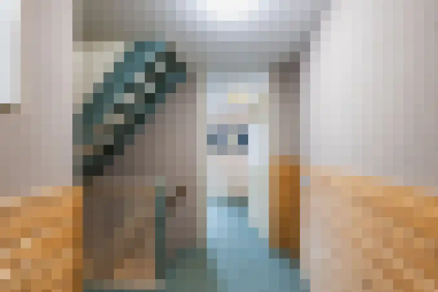 Binnenkamer 4 Tholen thumbnail 15