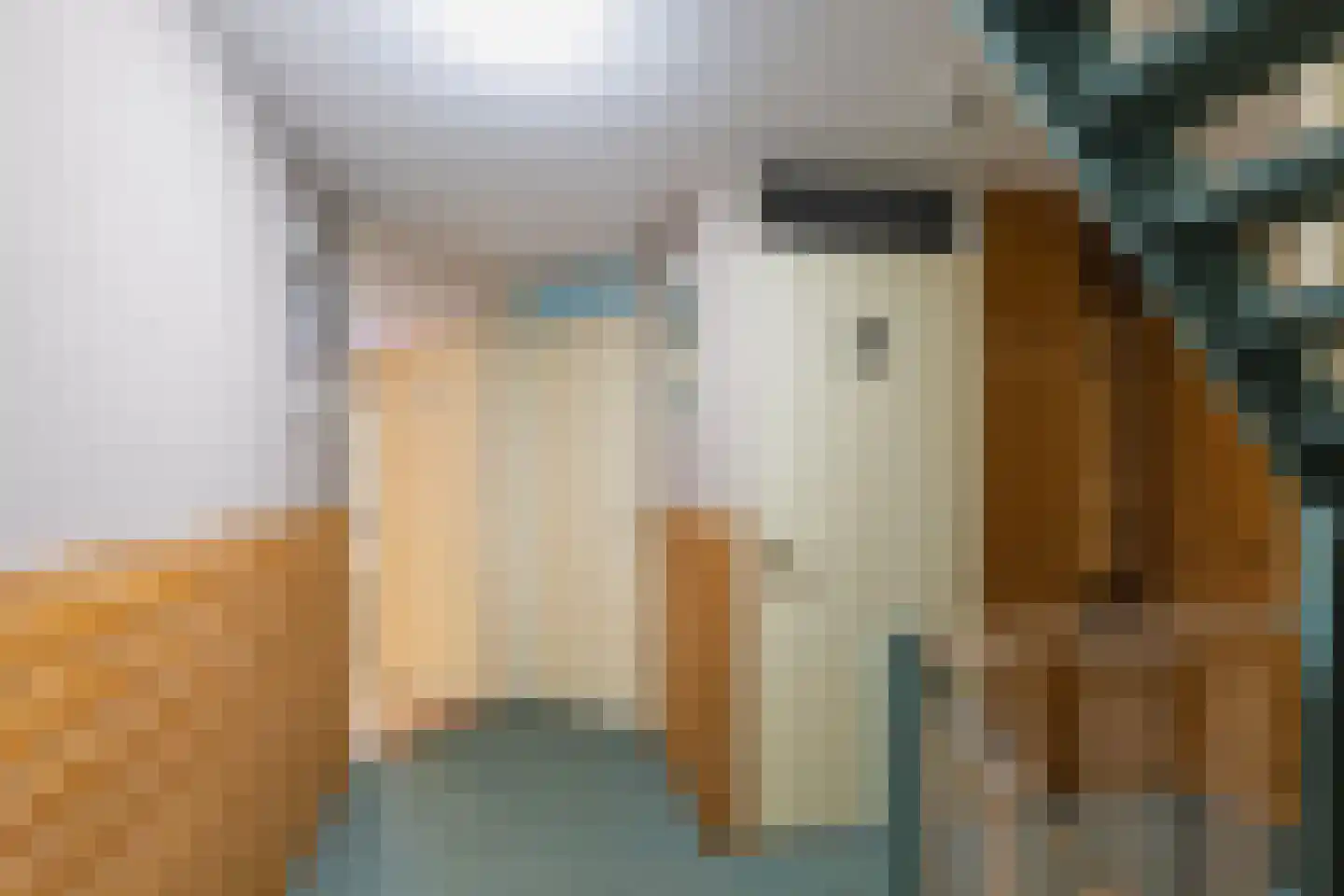 Binnenkamer 4 Tholen thumbnail 17