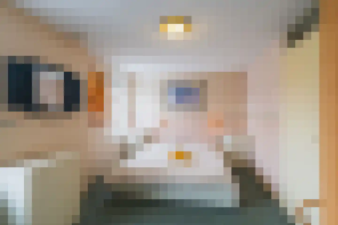 Binnenkamer 4 Tholen thumbnail 18