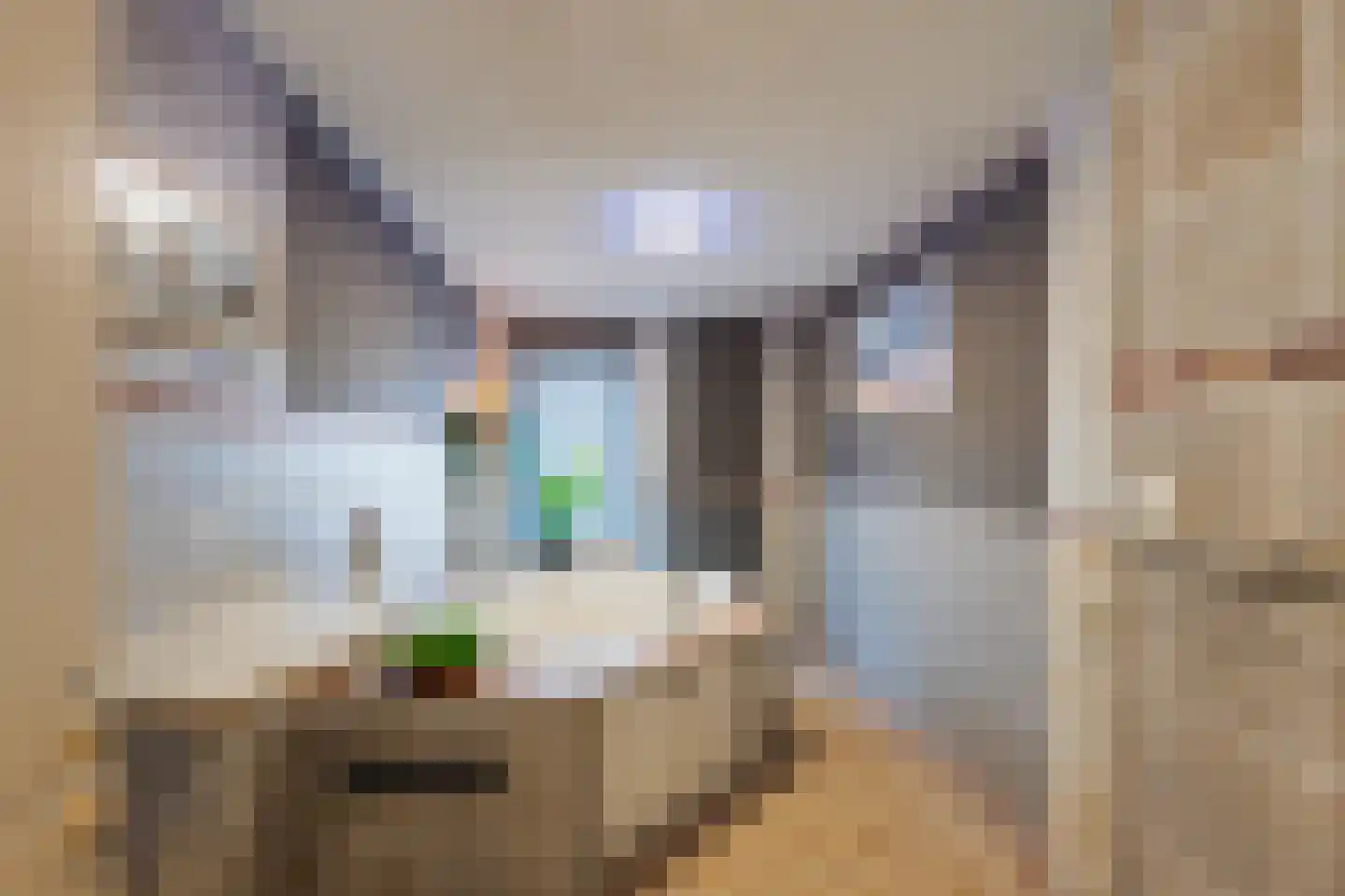 Binnenkamer 4 Tholen thumbnail 20
