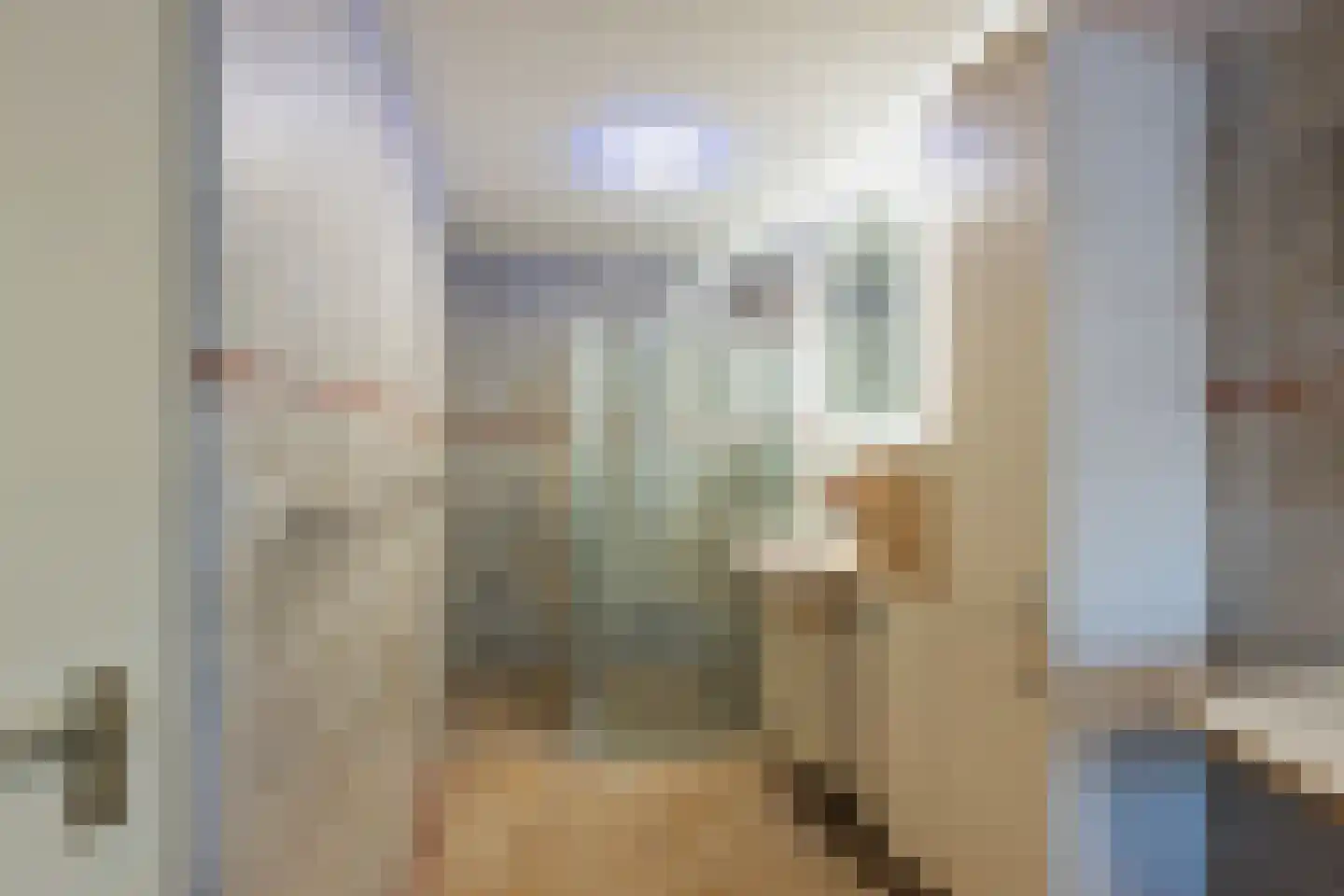 Binnenkamer 4 Tholen thumbnail 21