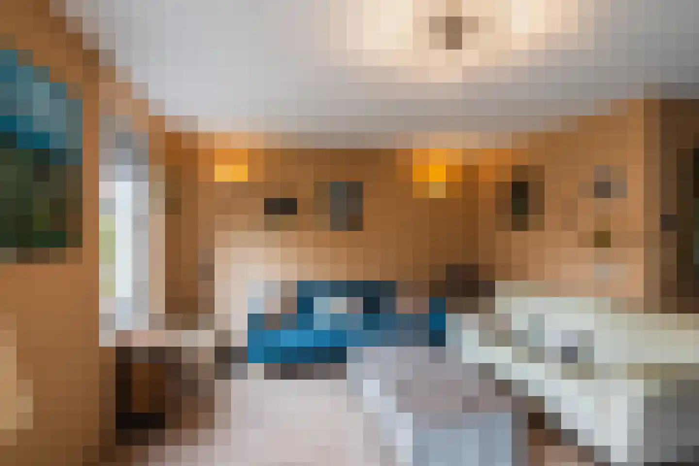 Binnenkamer 4 Tholen thumbnail 9