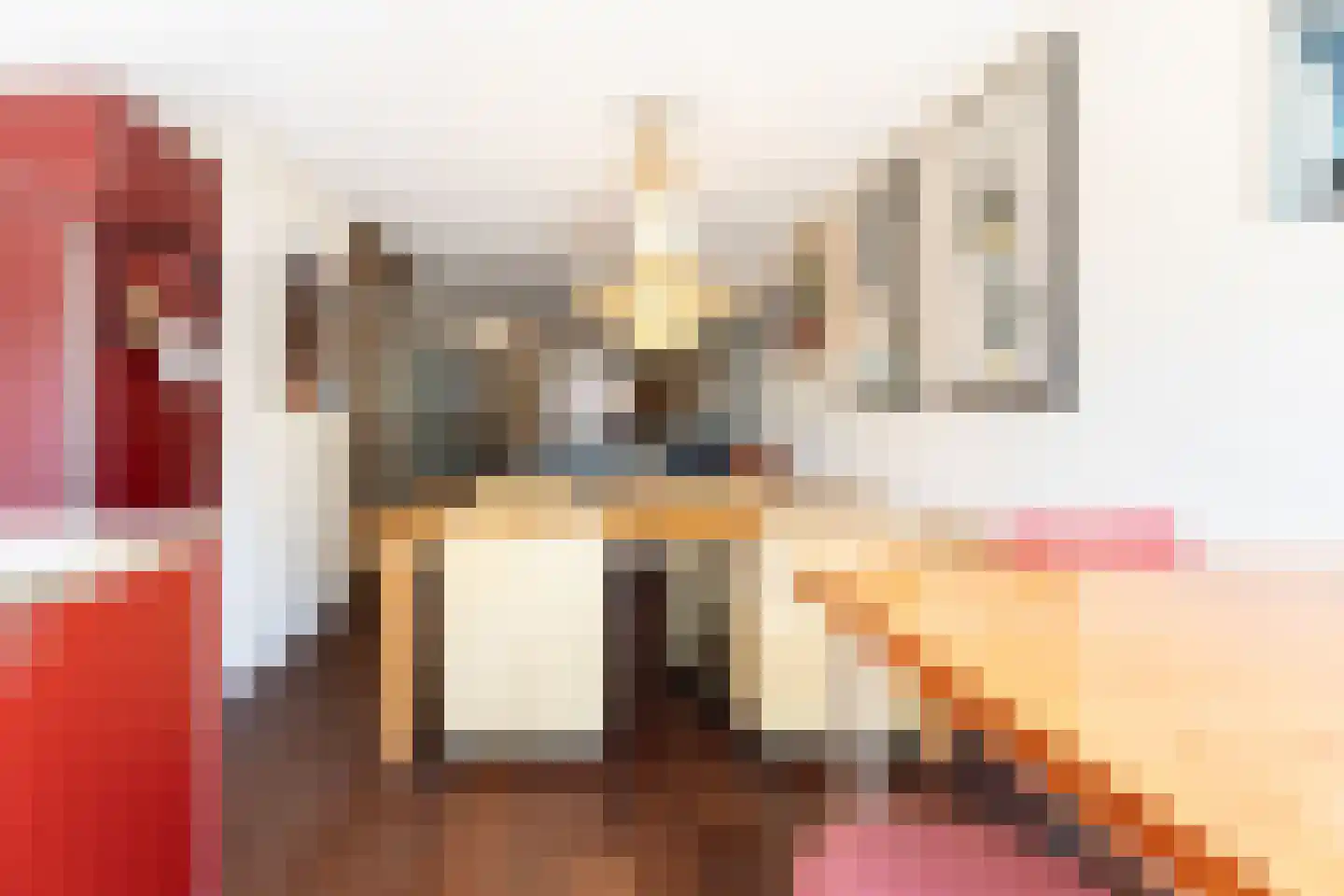 Binnenkamer 42 Tholen thumbnail 13