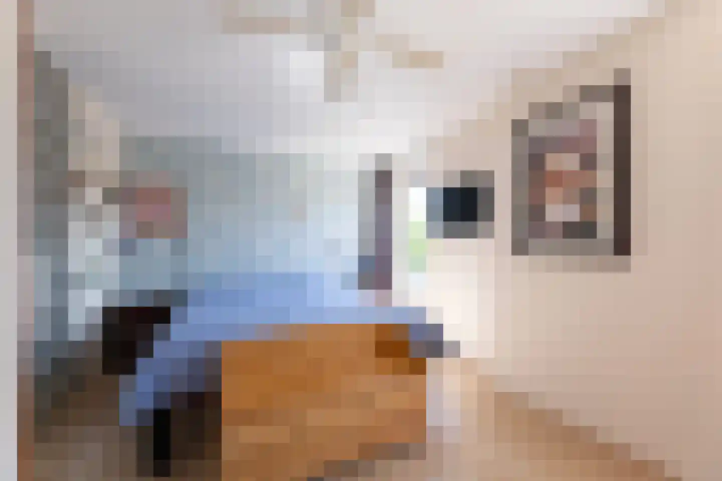 Binnenkamer 42 Tholen thumbnail 17