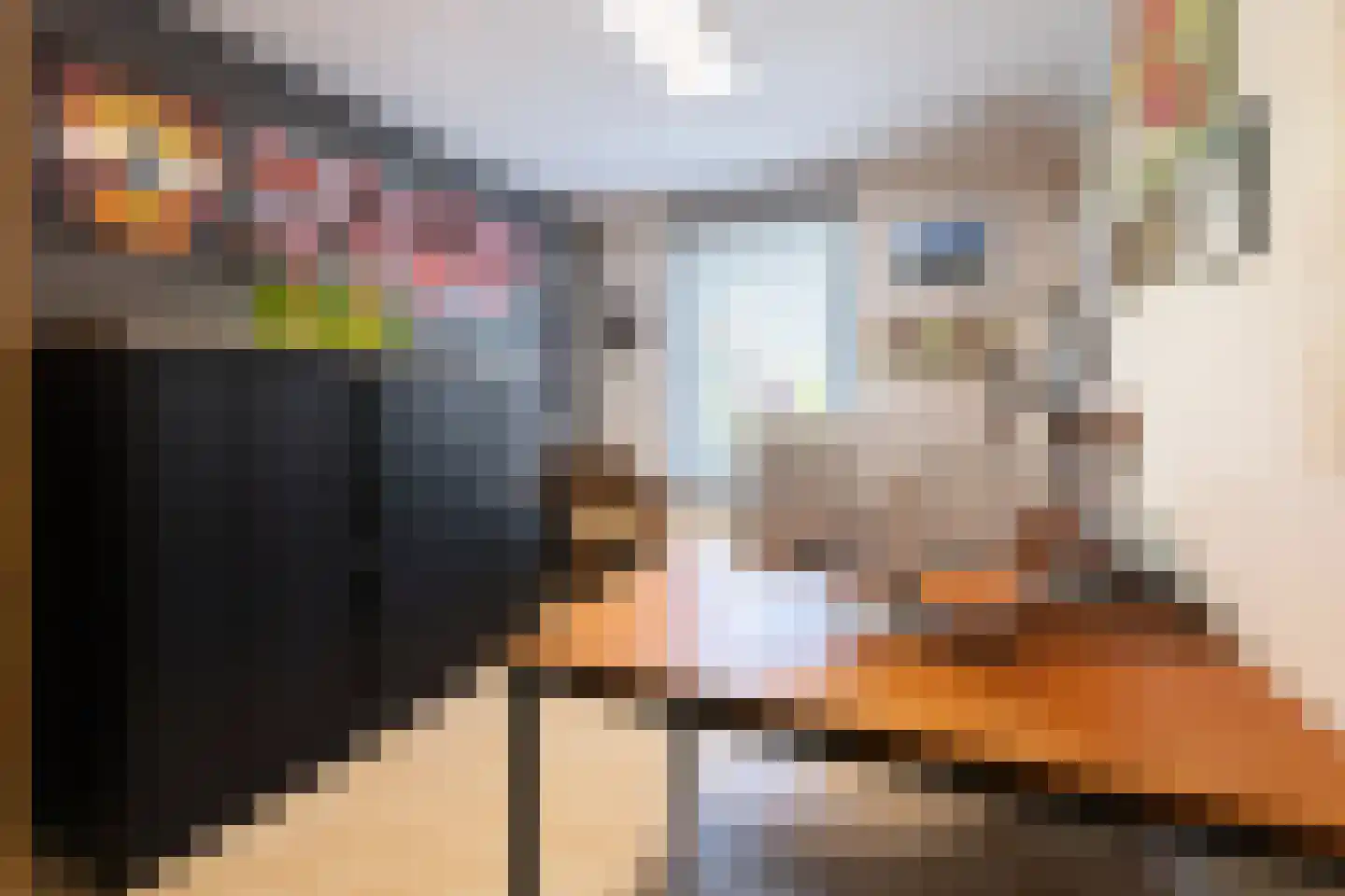 Binnenkamer 42 Tholen thumbnail 20