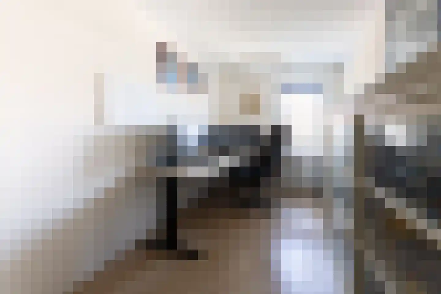 Binnenkamer 42 Tholen thumbnail 22