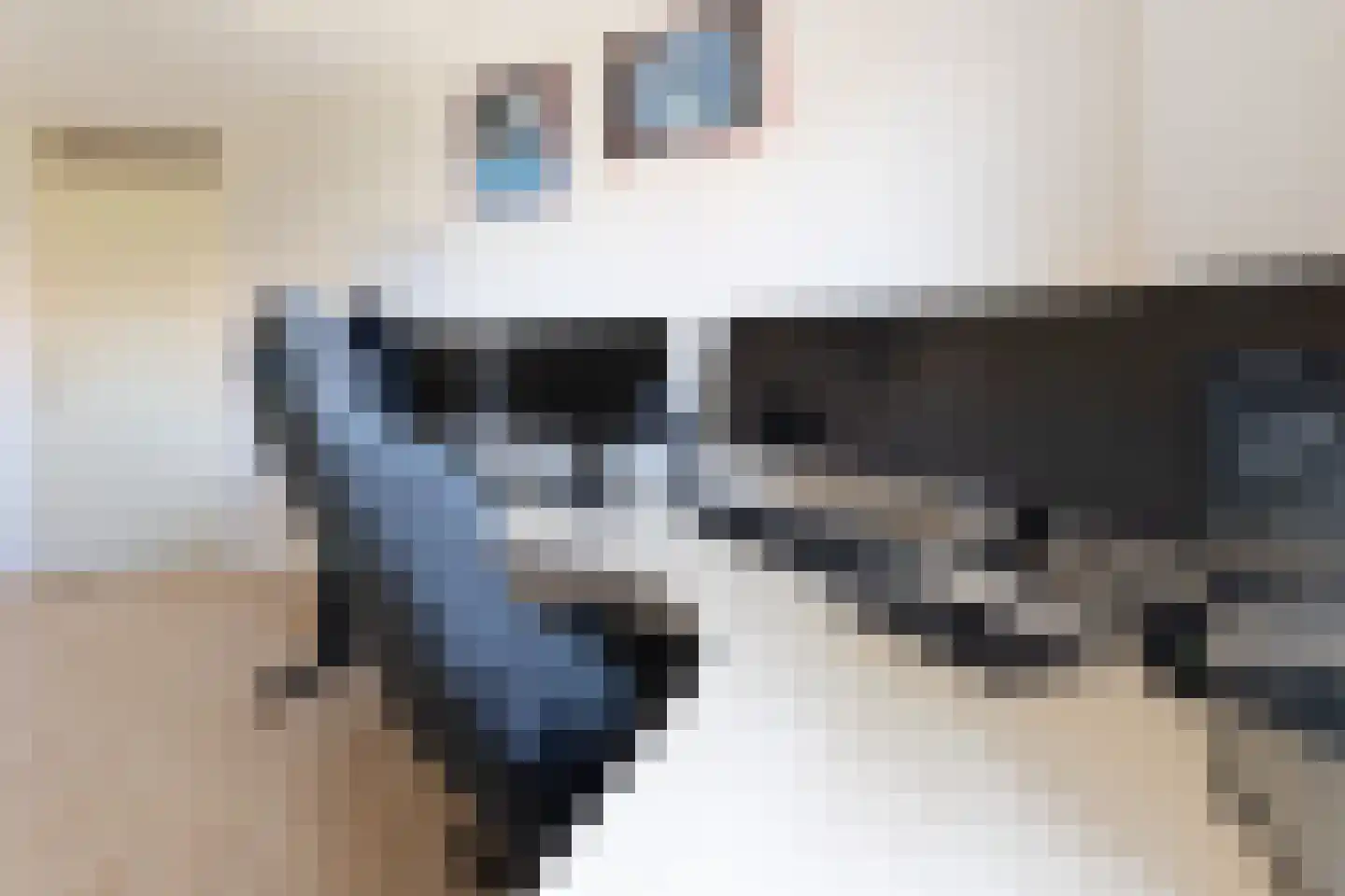 Binnenkamer 42 Tholen thumbnail 23