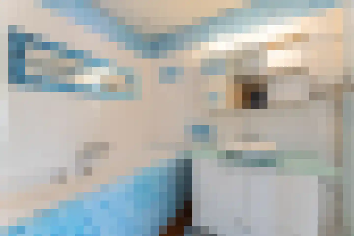 Binnenkamer 42 Tholen thumbnail 25