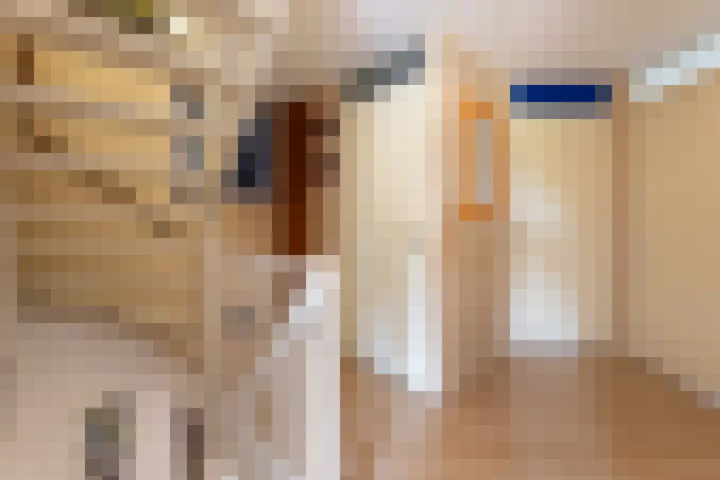 Binnenkamer 42 Tholen thumbnail 27