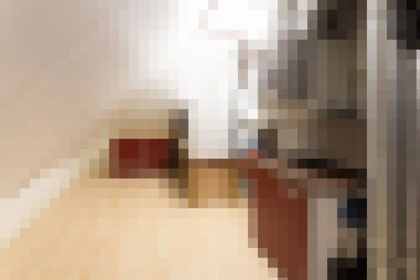Binnenkamer 42 Tholen thumbnail 28
