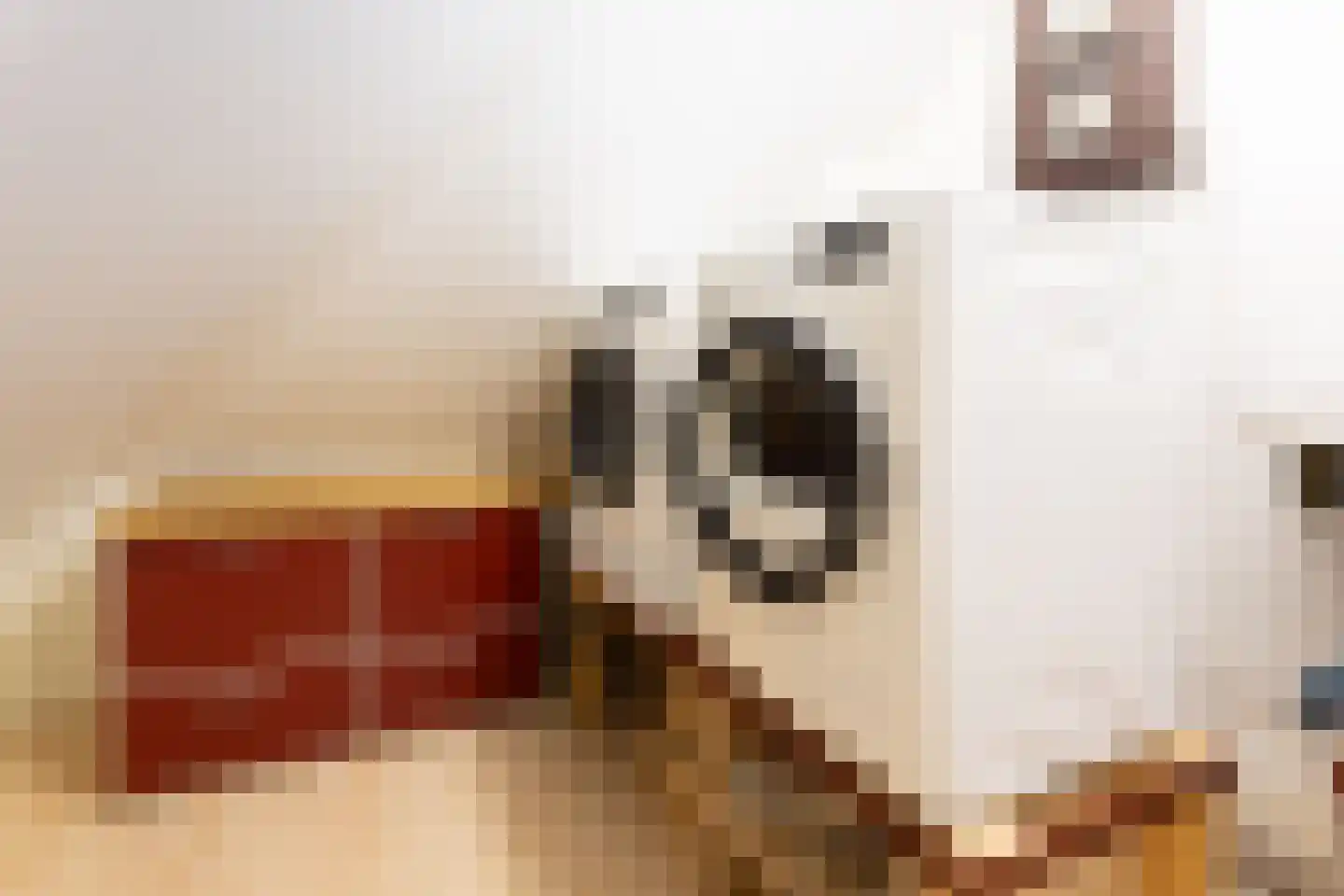 Binnenkamer 42 Tholen thumbnail 29