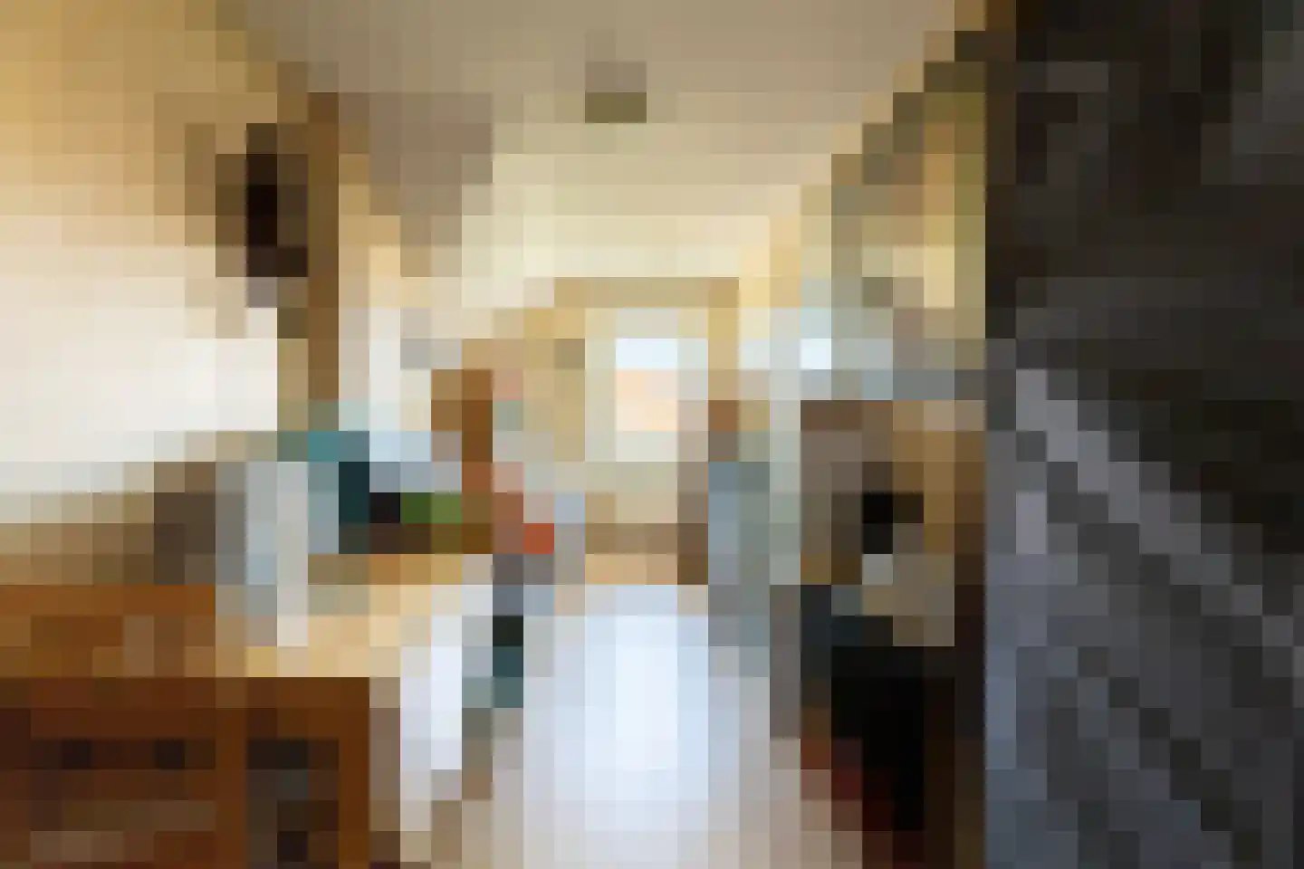 Binnenkamer 42 Tholen thumbnail 30