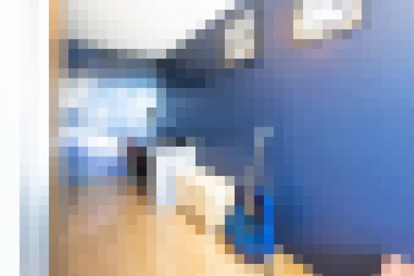 Binnenkamer 42 Tholen thumbnail 33