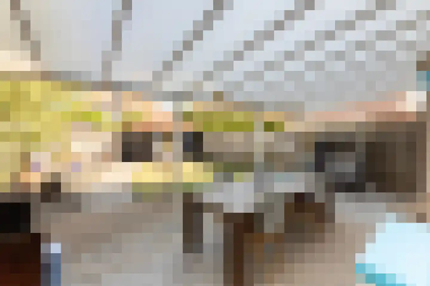 Binnenkamer 42 Tholen thumbnail 35