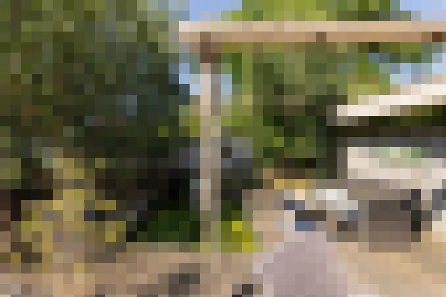 Binnenkamer 42 Tholen thumbnail 39