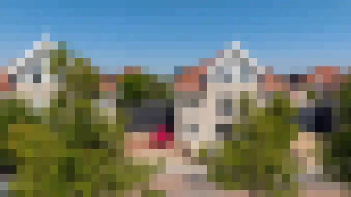 Binnenkamer 42 Tholen thumbnail 45