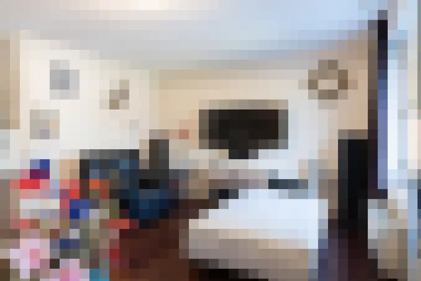 Binnenkamer 42 Tholen thumbnail 6