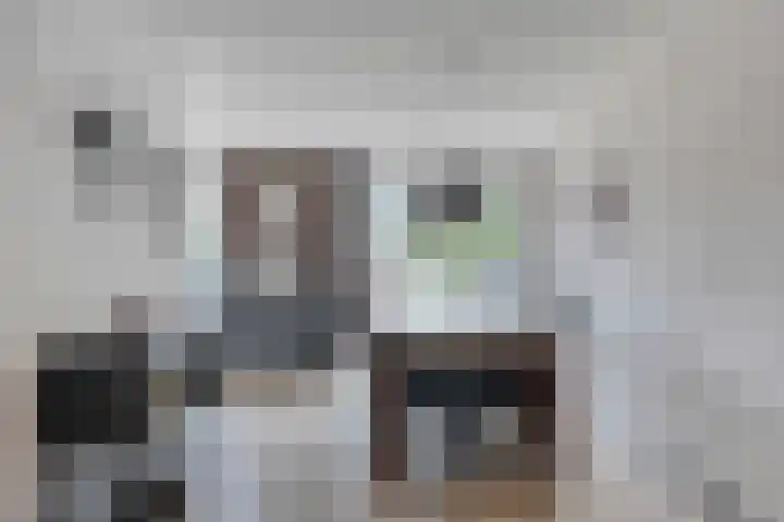 Binnenkamer 44 Tholen thumbnail 13