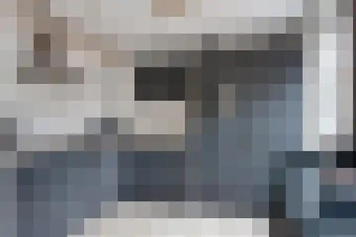 Binnenkamer 44 Tholen thumbnail 15