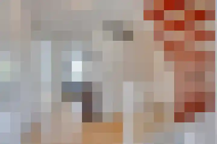 Binnenkamer 44 Tholen thumbnail 22