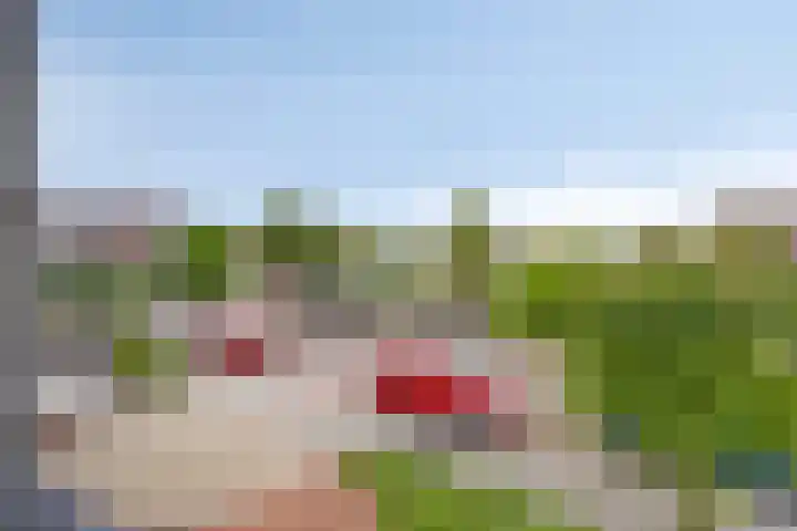 Binnenkamer 44 Tholen thumbnail 26