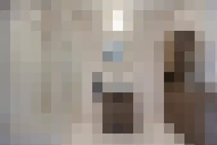 Binnenkamer 44 Tholen thumbnail 27