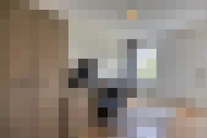 Binnenkamer 44 Tholen thumbnail 30